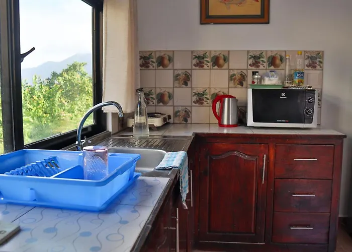 Mountain Appartement Anse Etoile